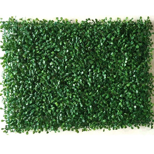 Fausse plante herbe verte - plante, d'herbe