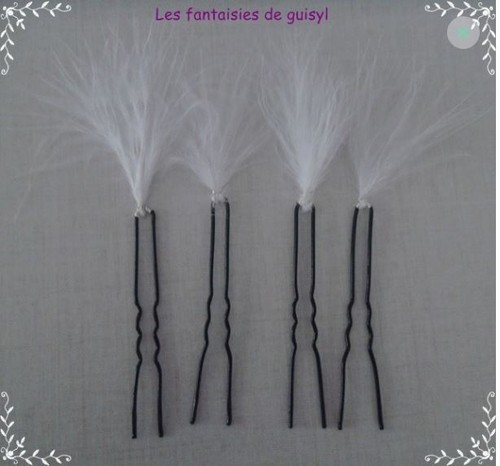 Pics cheveux plumes - cheveux,