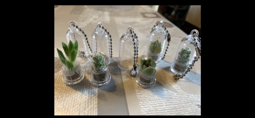 Porte clés bébés - clés, cactus