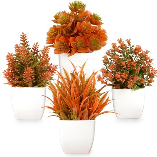Lot petites plantes - 4,