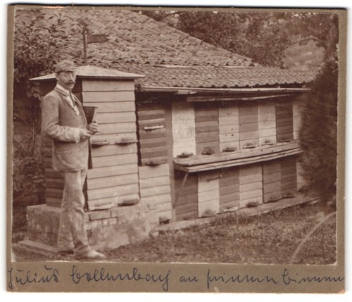 Photographie apiculteur julius - apiculteur,
