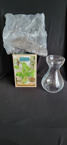 Botaniqua hosta vase - botaniqua,