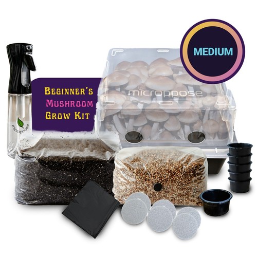 Medium monotub mushroom grow - medium,