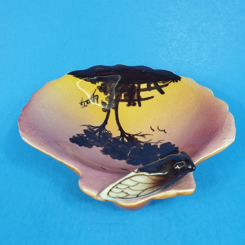 Cicada shell dish saint jean - saint,