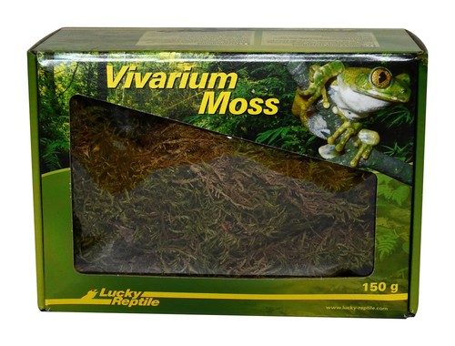 Vivarium moss 150 g - vivarium,