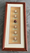 Vitrine murale vintage de balles de golf (1830–1930) – Article rare et original