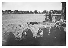 India, Rewari Road, Vultures near&#039;a Temple, Vintage Print, 1948 Phot
