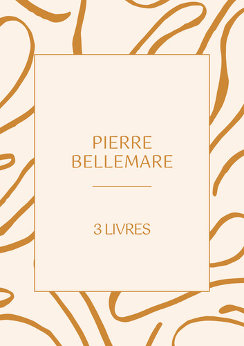 Lot livres pierre - lot, *