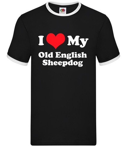 Love chien berger - my, anglais