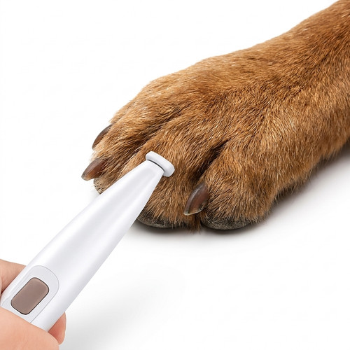 Tondeuse pour chien tondeuse
