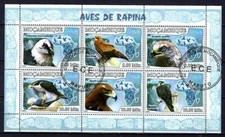 Animaux Oiseaux Rapaces