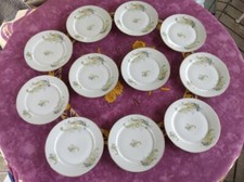 11 Assiettes à Dessert Porcelaine Pillivuyt Décor de Fougères Liseré Doré 19cm