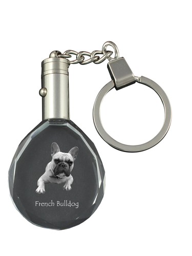 Bouledogue français - bouledogue,