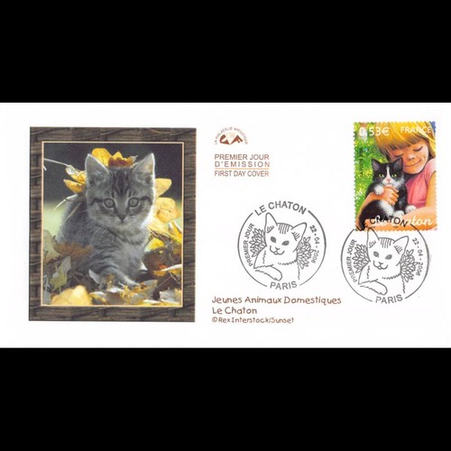 Cef jeunes animaux - cef,