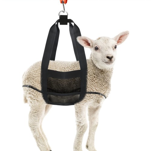 Weight scale sling - weight,