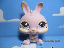 PETSHOP DWARF RABBIT N°667