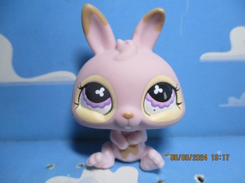 Petshop lapin nain - petshop, n°667