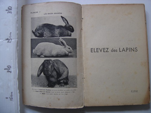 Elevez des lapins rustica - elevez,