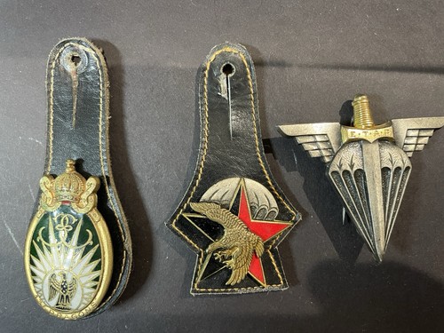 Lot insignes militaire drago - lot,