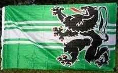 Flag east flanders 3x5 ft - flanders,