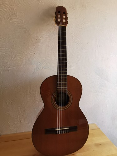 Guitare classique - 1/2,