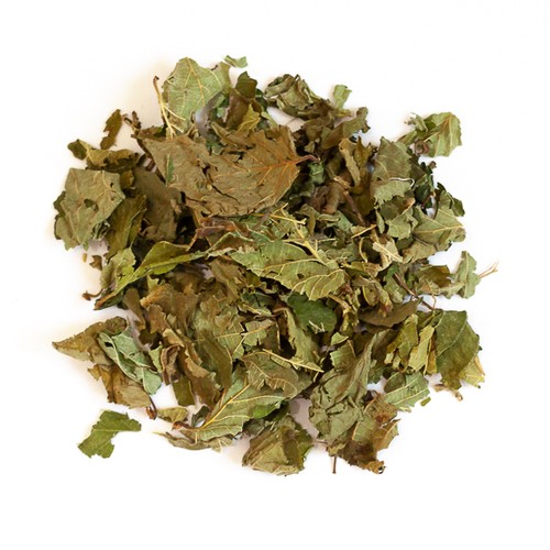 Feuilles noisetier - noisetier,