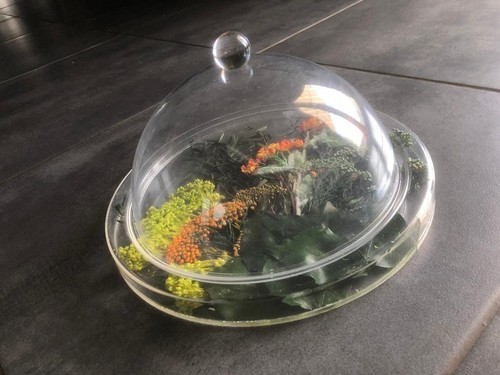 Cloche fromage transparente - cloche,