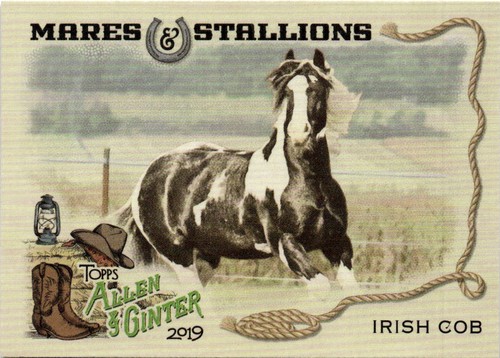 2019 topps allen ginter - 2019,