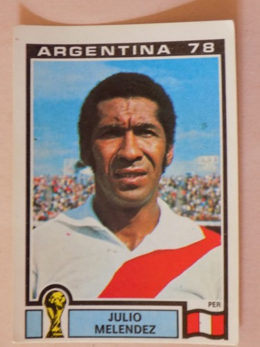 Sticker panini argentina - panini,