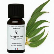 Huile essentielle d'Eucalyptus radié - 30 ml - 100% pure et naturelle