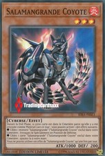 ♦Yu-Gi-Oh!♦ Salamangrande Coyote (Salamangreat) : RIRA-FRSE1 -VF/Super Rare-