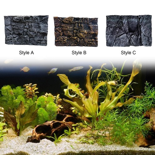 Fond aquarium rocheux - d'aquarium, 3d