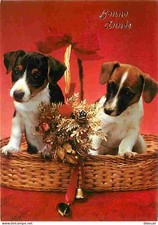Animals - Dogs - Jack Russell - Wicker Basket - New Card - CPM - See Scan