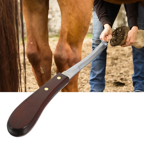 Kit toilettage pour - toilettage, chevaux
