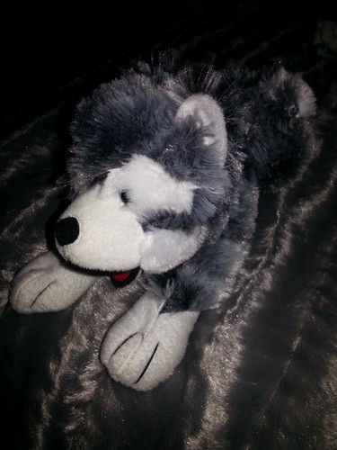 Cute husky puppy dog plush - husky,