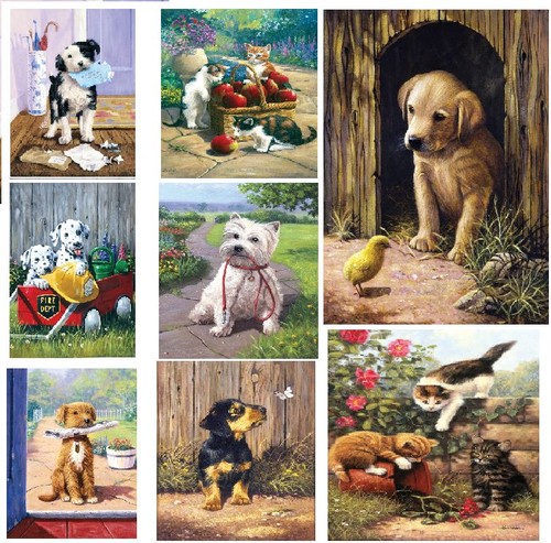 Pique chiens chats - 16,