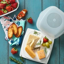 Tupperware cheeSE smart large