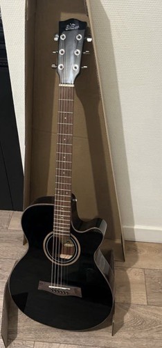 Guitare electro acoustique - electro,