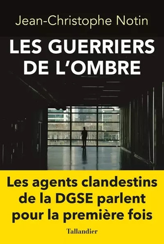 Les guerriers ombre - guerriers, l'ombre