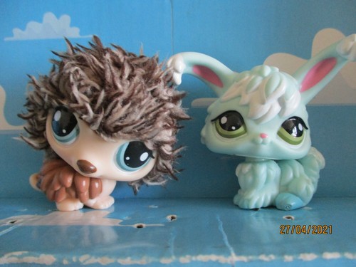 Petshop duo porc epic - :, porc-epic