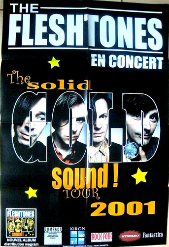 Fleshtones original concert - fleshtones,