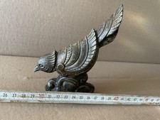 Régule Oiseaux Magnifique