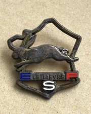 Insigne, broche médaille ski