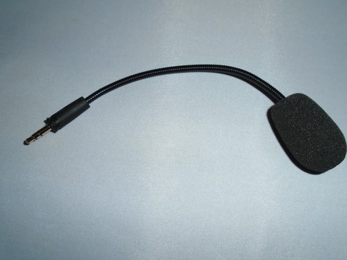 Véritable micro turtle - véritable, beach