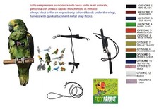 Bavoir Perroquets De Perruches