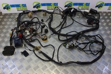 Faisceau de câblage principal