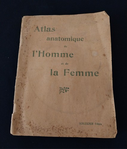 Atlas anatomique homme et - anatomique, l'homme