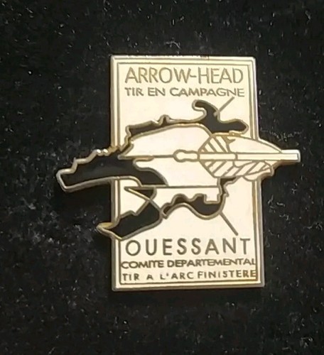 Rare pins arrow - pins, head