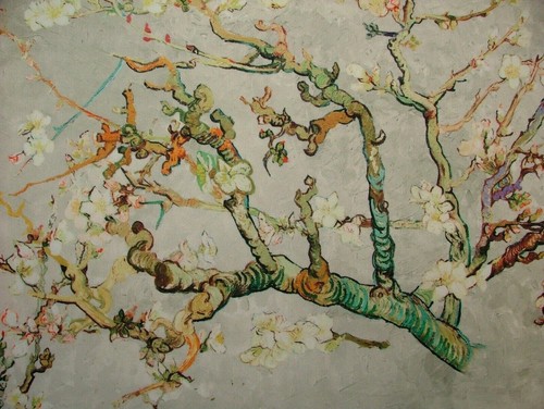 Tissu velours rideau arbre - rideau, de