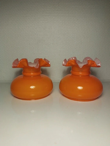 Tulipe opaline orange abat - tulipe,